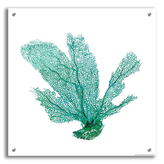 Epic Art 'Green Sea Fan' by JJ Brando, Acrylic Glass Wall Art, 24"x24"