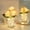 silver#2809, variant on Rose Table Lamp - LED Artificial Flower Lamp with Crystal Glass Vase, Battery Operated Small Decorative Bedside Lamp for Romantic Bedroom Living Room, Gifts for Her