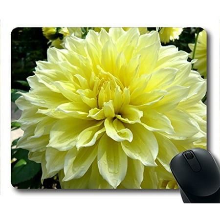 

POPCreation yellow dahlia flower Mouse pads Gaming Mouse Pad 9.84x7.87 inches