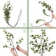 thumbnail image 3 of Matsuzay Plantas verdes encantadoras de 4 piezas para una decoración refrescante y natural Flores y plantas para la ingeniería de decoración Decoración, 3 of 6