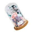thumbnail image 1 of Advancent Decor The Beautiful and Beast Inmortal Rose Glass Cover Flower Dried Flower Regalo de San Valentín, decoración de flores. Decoración del hogar rosa cálido 15x22cm, 1 of 6