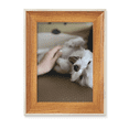 thumbnail image 1 of White Dog Pet Animal Cute Photo Desktop Wooden Photo Frame Display Picture Art Painting Multiple Sets, 1 of 3