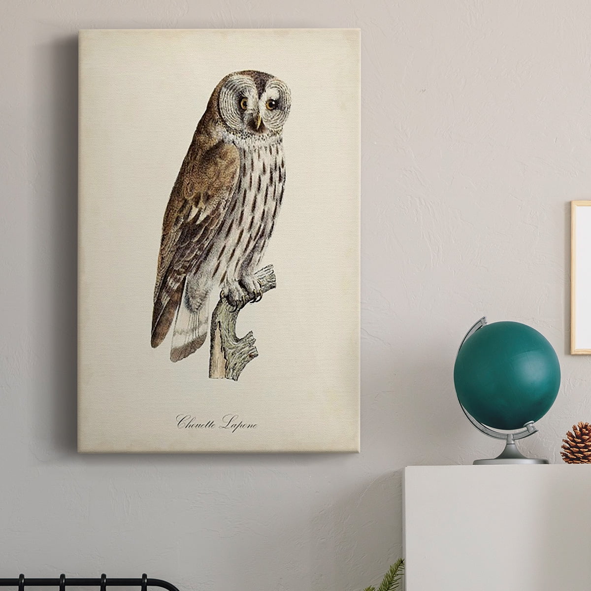 French Owls III Premium Gallery Wrapped Canvas - Ready to Hang