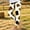 A22 Multicolor, variant on Girls Printed Leggings Soft Stretch Athletic Pants Elastic High Waist Footless Tights Casual Summer Activewear Cute Animal Pattern Long Yoga Bottoms