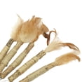 thumbnail image 7 of Set of 5 Cat Catnip Toys Cat Nip Sticks Cleaning Suitable for Feather, 7 of 7