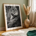thumbnail image 5 of Split Personality - Corbett Oregon Photography Black and White Forest Nature Woodland Abstract Scenic Wilderness Oak Framed Wall Art Print 24 x 36 inches, 5 of 59