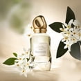 thumbnail image 2 of Perfume Donna Karan Cashmere Collection Neroli tunecino 100 ml, 2 of 5