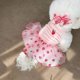 thumbnail image 2 of Strawberry Dog Dress Pet Clothing Suspender Skirt Dog Costume Princess Dress Small Dog Thin Summer Dog Skirt Yorkshire ShopWise Round, 2 of 7