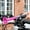 Pink, variant on Ohmyroo Metal Bicycle Horn Large Clear Alert Sound Extruded Bulb Ringer For Various Bicycles and Carts