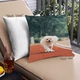 thumbnail image 1 of Ahgly Company Dogs Pomeranian Outdoor Throw Pillow, 18 inch by 18 inch, 1 of 6