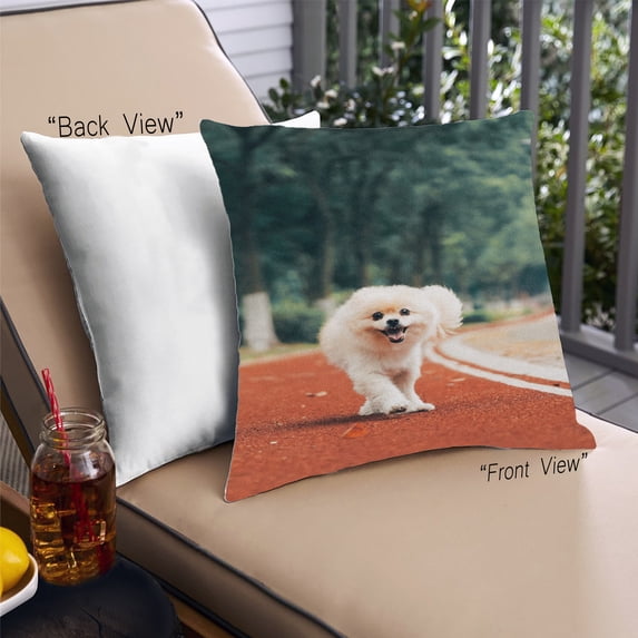 Ahgly Company Dogs Pomeranian Outdoor Throw Pillow, 18 inch by 18 inch