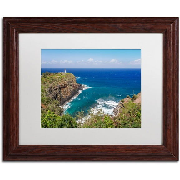 Trademark Fine Art 'Kilauea Lighthouse' Canvas Art by Pierre Leclerc, White Matte, Wood Frame