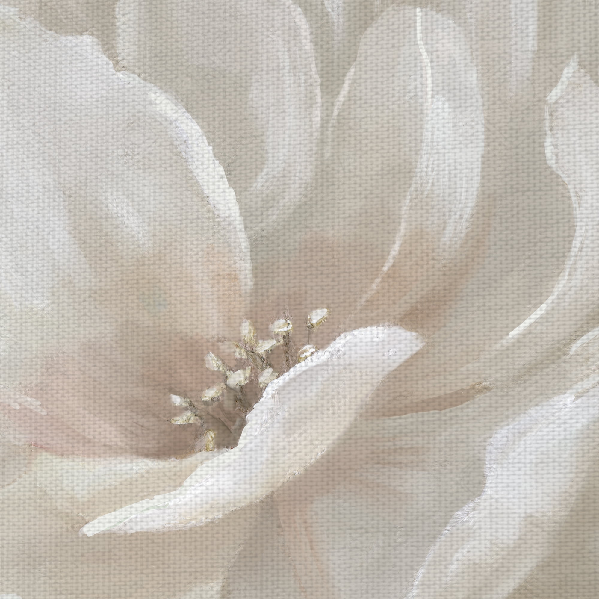 Fine Art Canvas Peach Perfect Flowers by Nan Canvas Art Print
