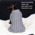 thumbnail image 3 of Chandails de Chien avec Fil d'Or Pull à Col Roulé Pull Chat Pull pour l'Hiver, 3 of 7