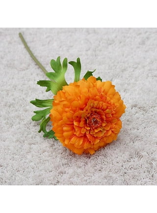 Natural Dried Flower Dried Rose for Candle Making Soap Making 