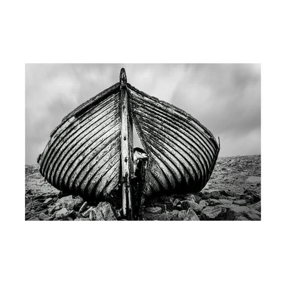 Trademark Fine Art Jie Jin Qpeekabooq Canvas Wall Art