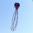 thumbnail image 5 of Peggybuy 4m Software Octopus Single Line Flying Kite with Long Tail Kids Toy (D), 5 of 5