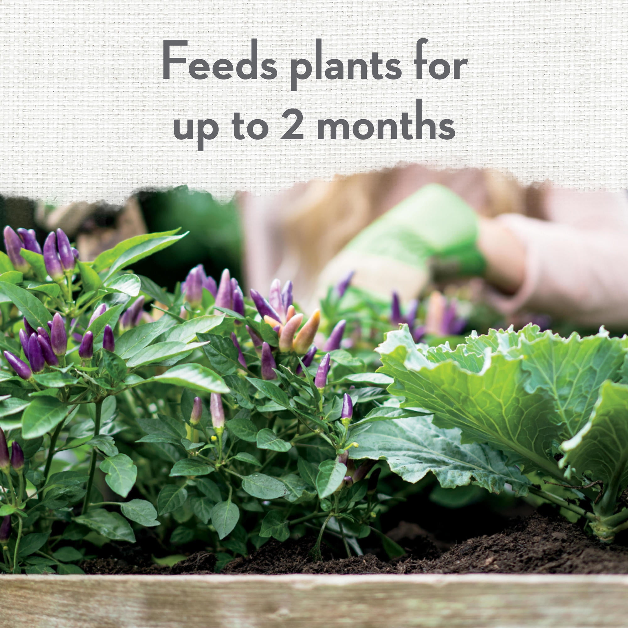 Whitney Farms Organic Potting Soil for Container Gardens, 8 dry Qt.