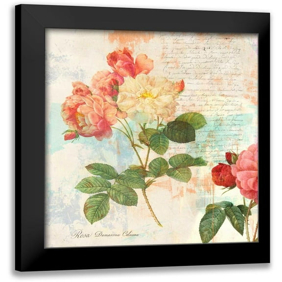 Chestier, Eric 12x12 Black Modern Framed Museum Art Print Titled - Redoutes Roses 2.0 - IÂ 