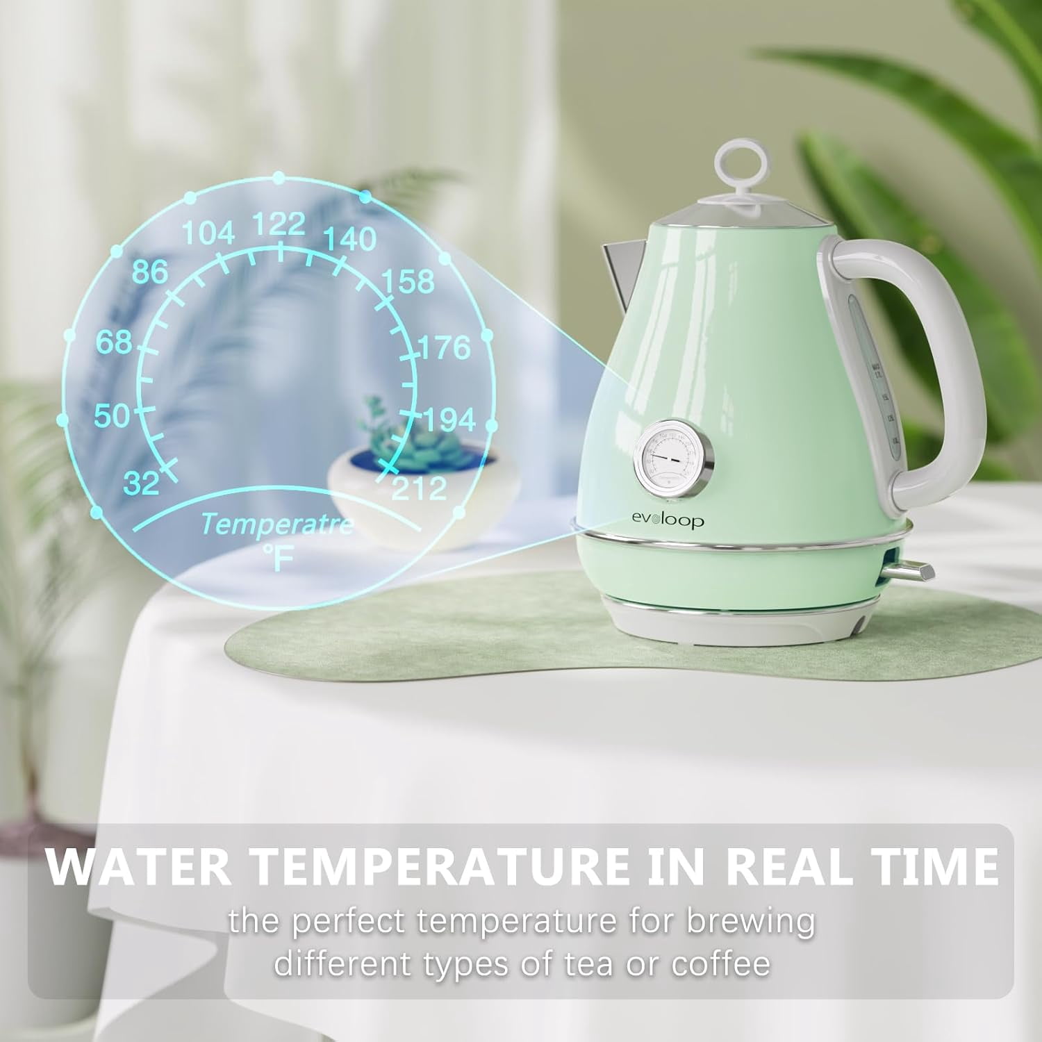Evoloop Electric Tea Kettle with Rapid Egg Cooker, 1.7L Stainless Steel Hot Water Boiler for Coffee and Tea, 6-Egg Capacity