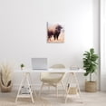 thumbnail image 2 of Wild Cattle Bison Photograph Grassy Autumn Field Cool Tones 16 in x 20 in Photography Canvas Art Print, by Stupell Home Décor, 2 of 5