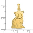 thumbnail image 4 of 14k Yellow Gold Polished Cat Charm Pendant, 4 of 4