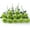 Green, variant on 12 PCS Artificial Flowers Black Roses, Fake Silk Flower Long Stem Artificial Black Rose for Halloween Home Wedding Party Decorations(Black)