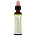 thumbnail image 3 of Bach - Bach Original Flower Remedy Dropper White Chestnut Flower Essence - 20 ml., 3 of 6