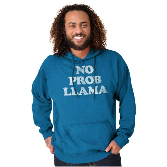 No Problama Llama Alpaca Cute Funny Hoodie Sweatshirt Women Men Brisco Brands 2X