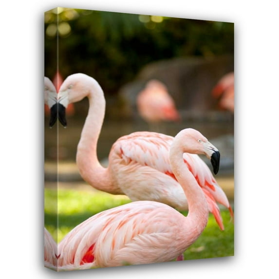 Karyn Millet 28x40 Gallery Wrapped Canvas Wall Art Titled - Flamingos II