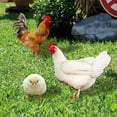 thumbnail image 5 of Chicken Yard Art Outdoor Metal Stake Set | Rooster Hen Chick Garden Decoration | Weather-resistant Ground Insertion Ornaments | 3 Piece Decorative Yard Accent | Large Realistic Design for Lawn, 5 of 7