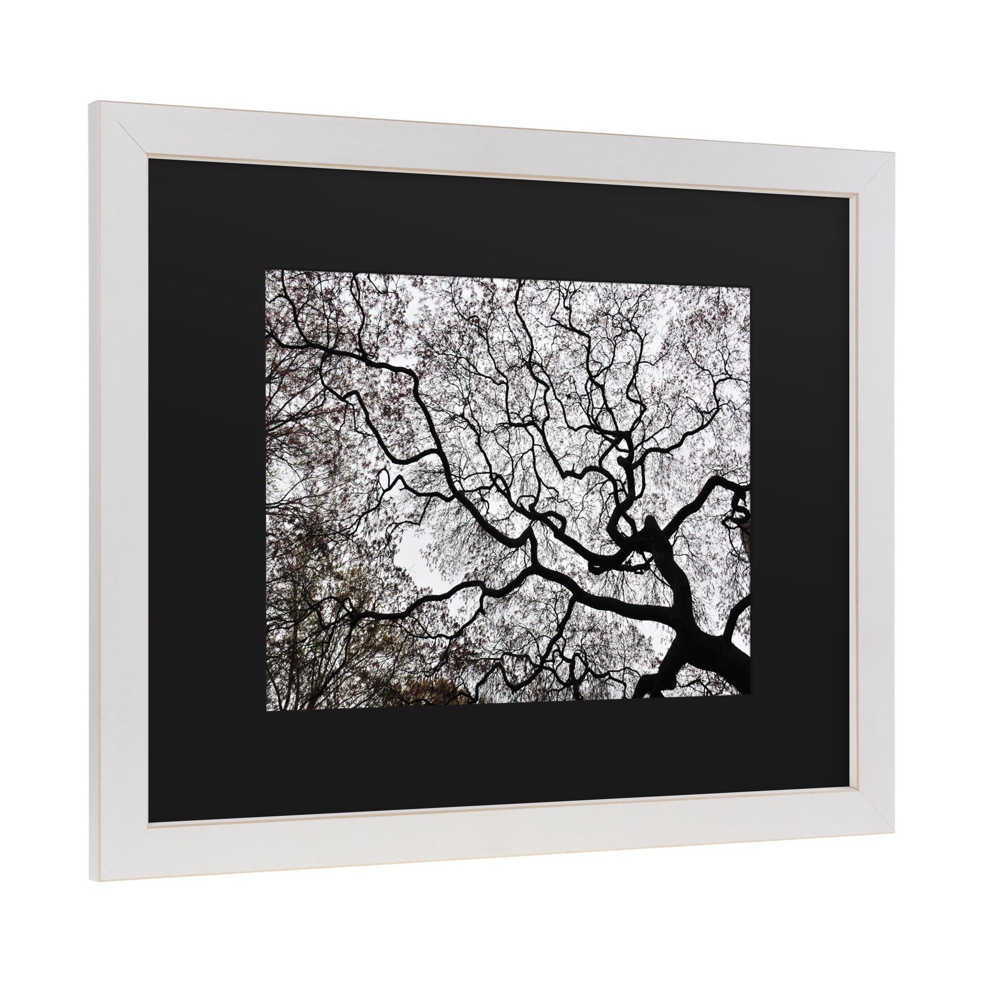 Trademark Fine Art 'Japanese Maple Spring Abstract II' Canvas Art by Kurt Shaffer