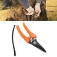 thumbnail image 1 of Ciseaux de Coupe pour Sabots, Ciseaux Simples Professionnels pour Ferme, 1 of 7