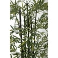 thumbnail image 2 of Vintage Home Artificial Faux 72" Tall Bamboo Tree With Eco Planter, 2 of 5