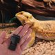 thumbnail image 3 of 6 clips para tapa de terrario, cierres para tanque de serpientes, cierres para tanque de reptiles, hebillas para caja de alimentación de tortugas y reptiles, para recintos seguros., 3 of 6