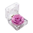 thumbnail image 1 of Amdohai Preserved Real Rose Flower in Clear Box Eternal Rose Scented, 1 of 7