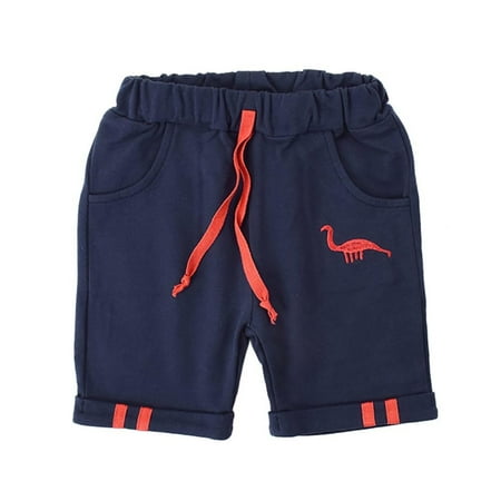 

Clearance!Boys Cotton Dinosaur Shorts Embroidered Sports Shorts Kids Beach Short