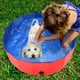 thumbnail image 1 of Piscina De Perros, Bañera De Baño De Perros Plegable Bañera De Natación Piscina Para Perros Bañera De Mascotas Bañera Bañera Piscina Perrito Piscina Para Cachorro Pequeño, 1 of 7
