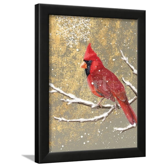 Winter Birds Cardinal Color, Animals Framed Art Print Wall Art by Beth Grove Sold by Art.Com