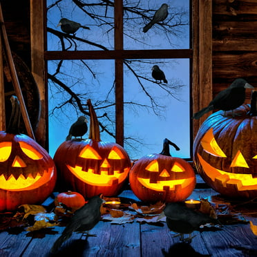 Halloween Witch's Legs 2-Piece Yard Stake Decoration, Orange & Black ...