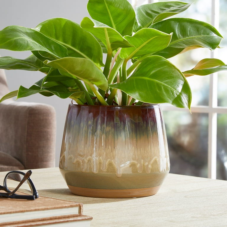 Better Homes & Gardens 8 Inch Ceramic Alan Planter with Beautiful Gradient  Glaze - Walmart.com