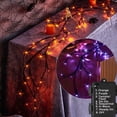 thumbnail image 1 of Guirnalda de Halloween LITBLOOM iluminada con purpurina negra de 6 pies con 48 luces, 1 of 8