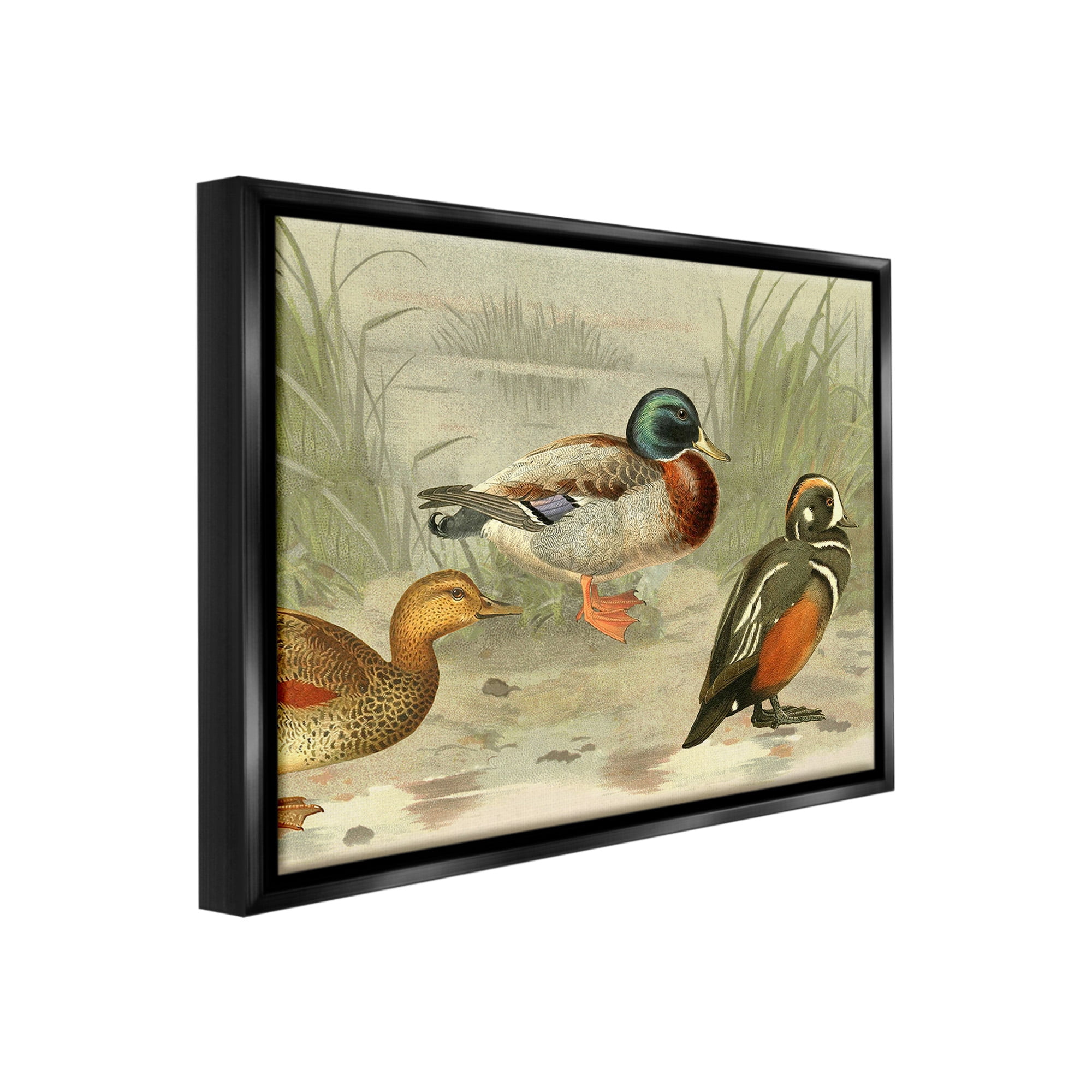 Stupell Industries Various Ducks by Pond Animals & Insects Painting Black Floater Framed Canvas Art Print Wall Art, 21 x 17