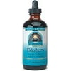 Wellness Elderberry Liquid Extract - 2 fl. oz (59.14 ml) by Source Naturals