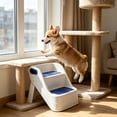 thumbnail image 4 of Roiihwy Basics Foldable Non-Slip Pet Stairs for Small Dogs and Cats, Senior Pets, Easy to Climb, 4 of 6