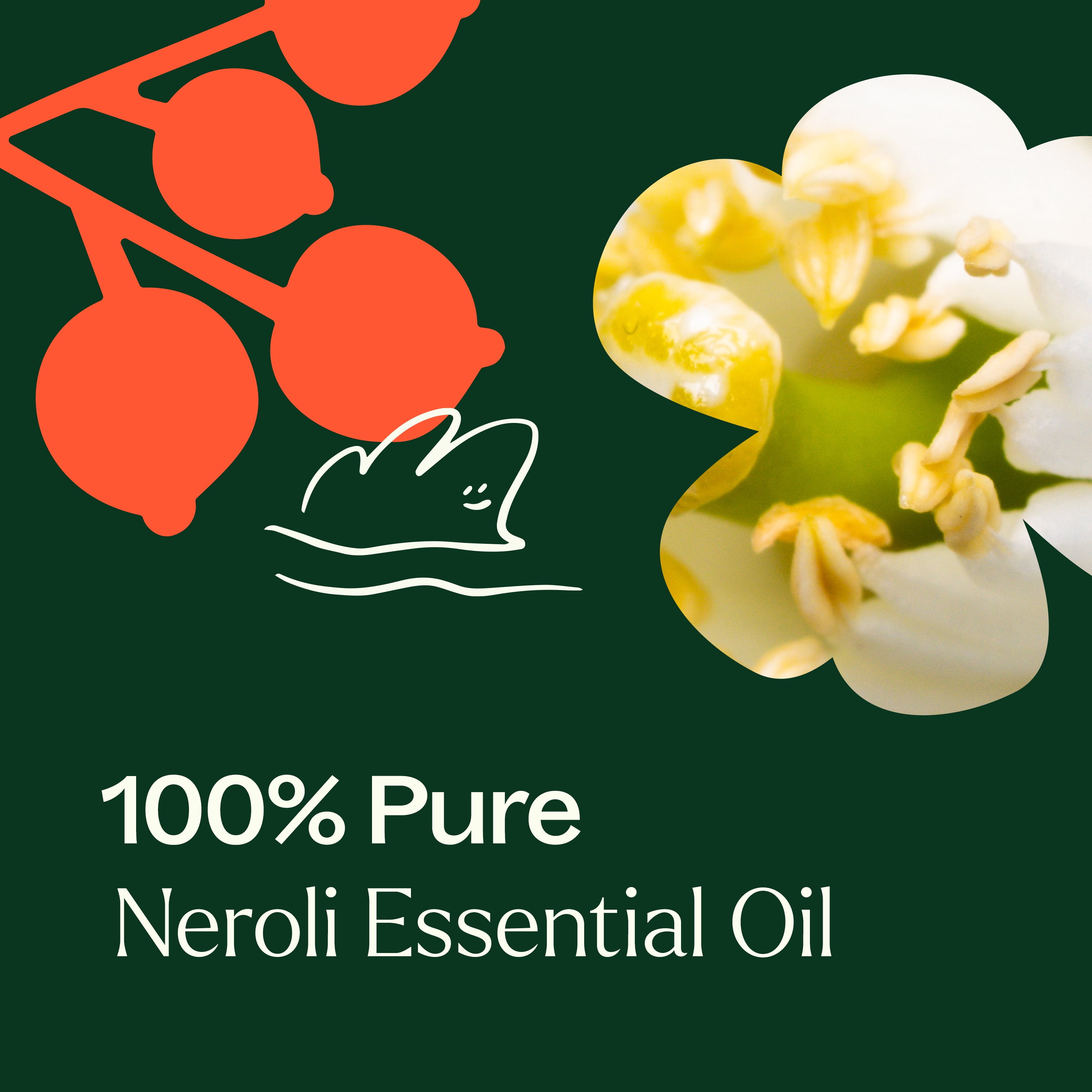 Plant Therapy Neroli Essential Oil 2.5 mL (1/12 oz) 100% Pure, Undiluted, Natural Aromatherapy