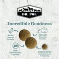 thumbnail image 3 of Dr. Pol Incredi-Pol Favorites Parmesan Chicken Flavor Crunchy Dog Treats, 12 oz. Bag, 3 of 6