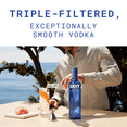 thumbnail image 3 of Skyy Vodka, 1.75 L Bottle, 3 of 10