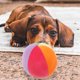 thumbnail image 2 of Pelota de juguete para perro, pelota de peluche masticable, pelota chillona para mascota, pelota de peluche rellena, 2 of 5
