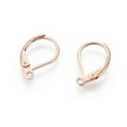 thumbnail image 2 of 100pc 304 Stainless Steel Leverback Earring Findings with Loop Rose Gold 15.5x10x1.5mm Hole: 1.5mm, 2 of 2